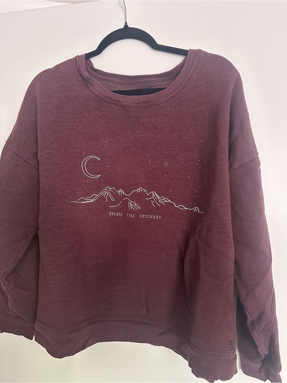 Vintage American Eagle sweatshirt